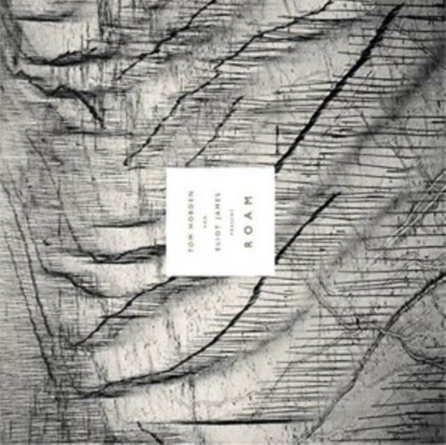 Tom Hobden And Eliot James - Tom Hobden & Eliot James Present: Roam - Volume.ro