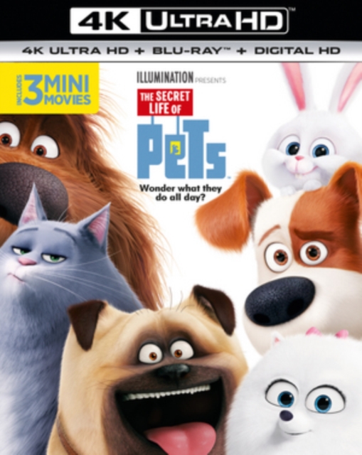 The Secret Life of Pets 2016 Blu-ray / 4K Ultra HD + Blu-ray + Digital Download (Red Tag) - Volume.ro
