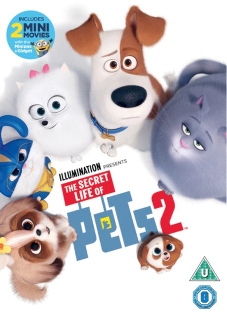 The Secret Life of Pets 2 2019 DVD - Volume.ro