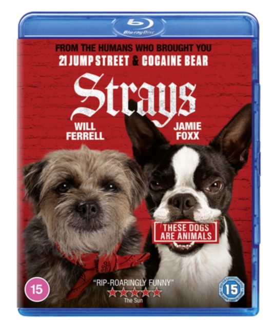 Strays 2023 Blu-ray - Volume.ro