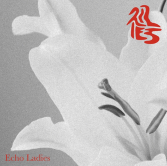 Echo Ladies - Lilies - Volume.ro