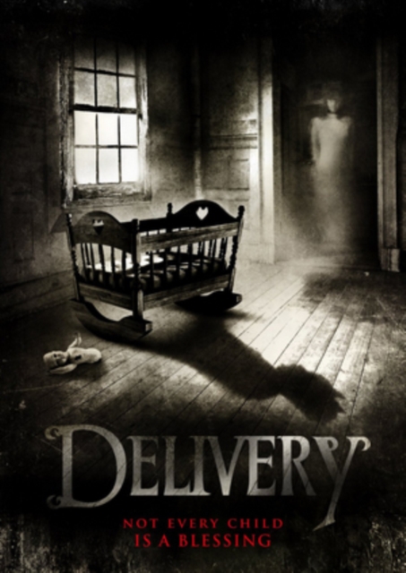 Delivery 2013 DVD - Volume.ro