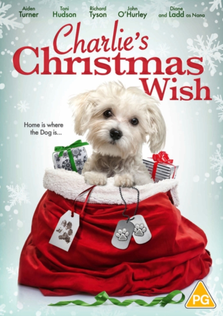Charlie's Christmas Wish 2020 DVD - Volume.ro