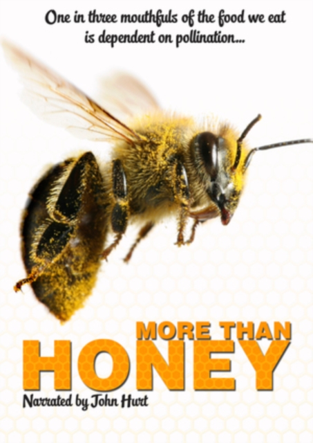 More Than Honey 2012 DVD - Volume.ro