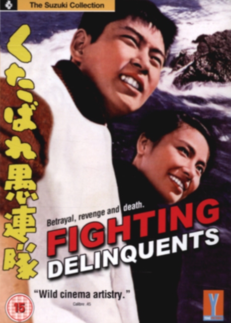 Fighting Delinquents 1960 DVD - Volume.ro