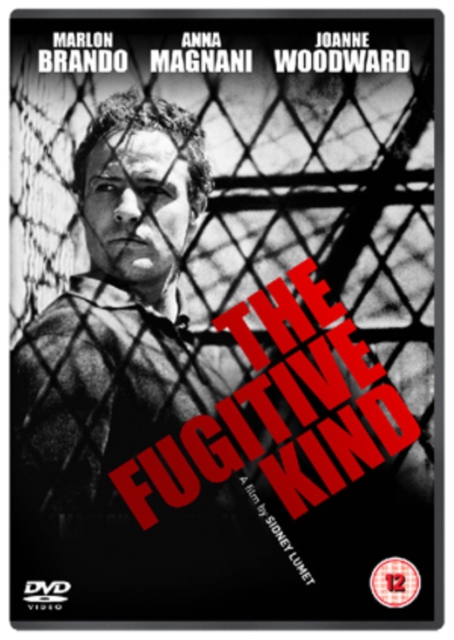 The Fugitive Kind 1959 DVD - Volume.ro