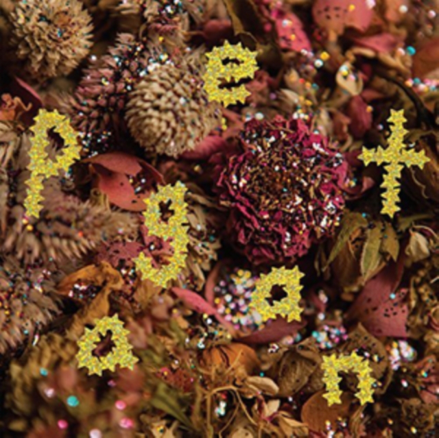 PWR BTTM - Pageant - Volume.ro