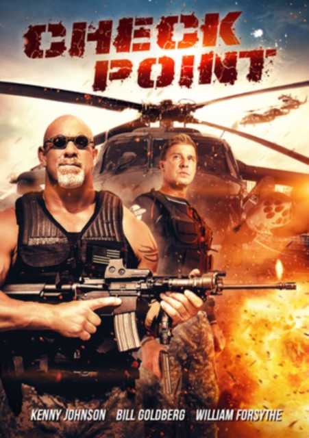 Check Point 2017 DVD - Volume.ro