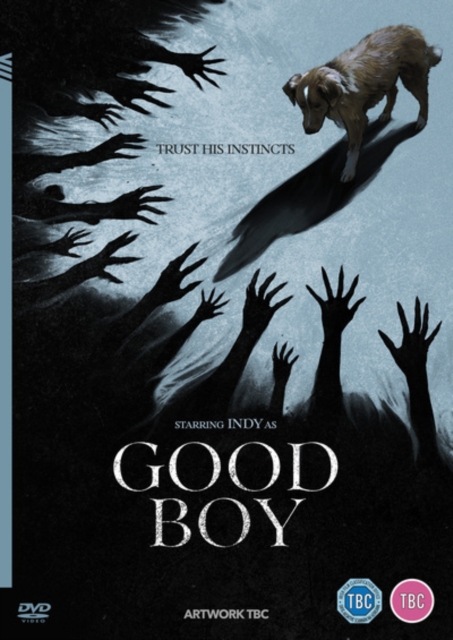 Good Boy 2025 DVD - Volume.ro