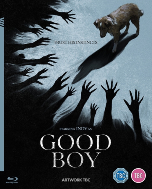 Good Boy 2025 Blu-ray - Volume.ro