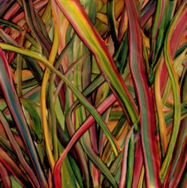 Gengahr - Where Wilderness Grows - Volume.ro