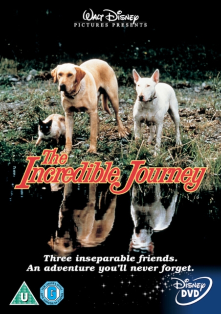 The Incredible Journey 1963 DVD - Volume.ro